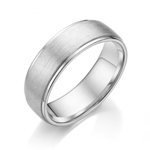 Matte Silver Ring
